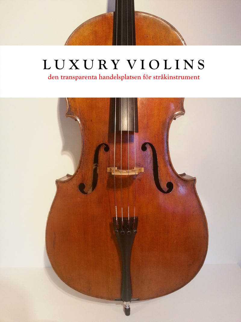 Luxury violins top