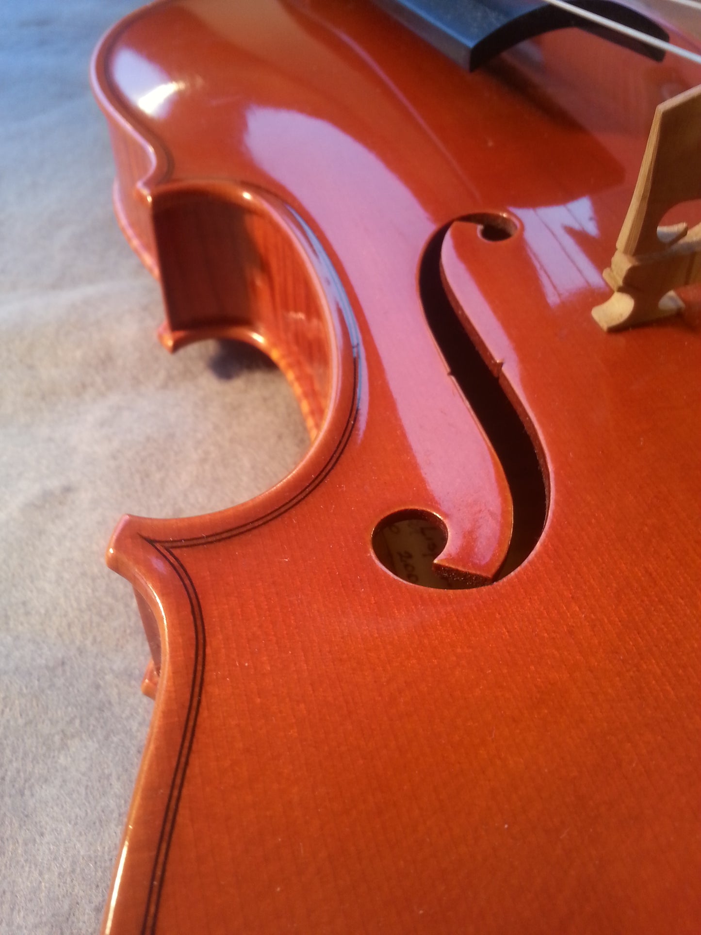 Viola - Hans Lisper Malung 2000