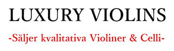 Violin - Äldre Maggini kopia