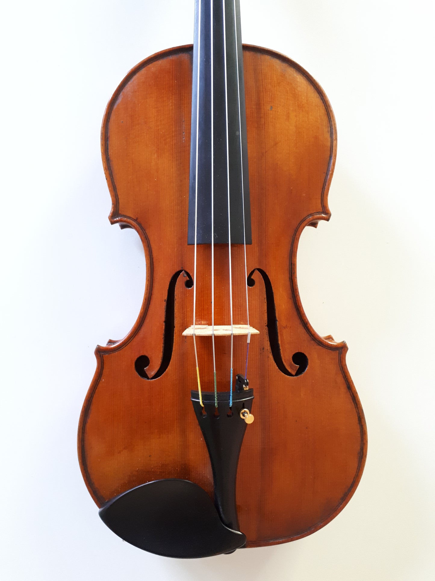 violin holland amsterdam