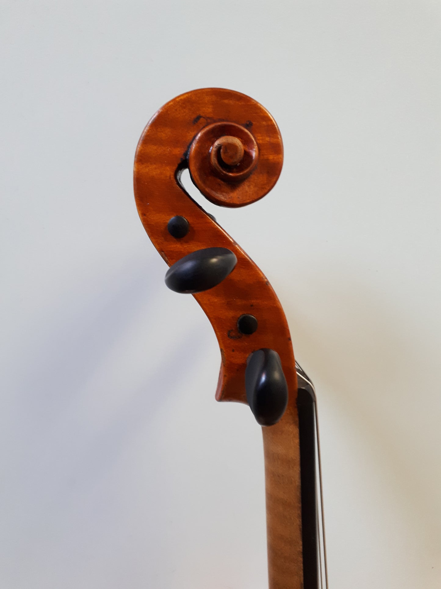 Violin - Vitale Duodevicesimus 2016