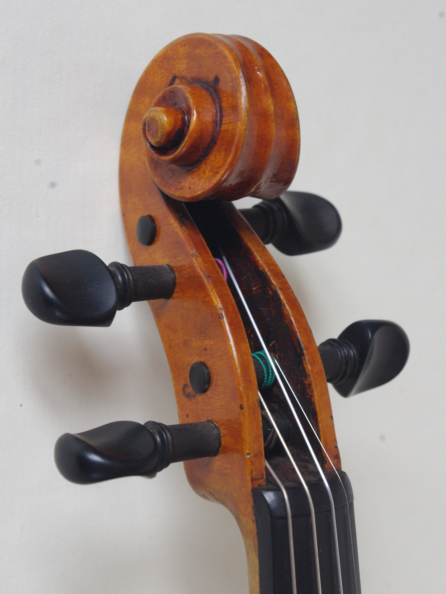 Violin - Vitale Duodevicesimus 2016