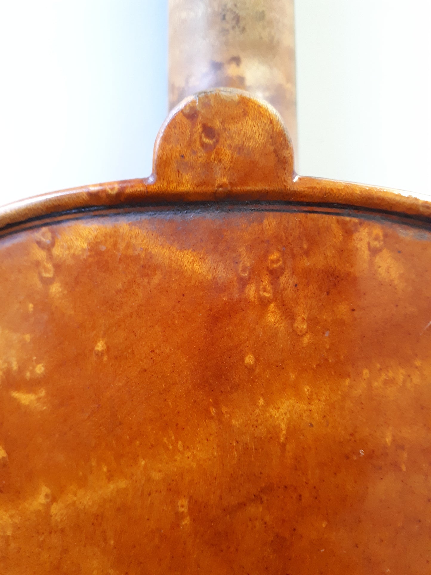 Violin - Vitale Duodevicesimus 2016