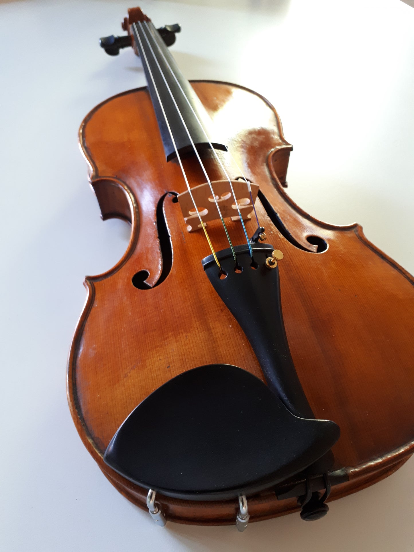 Violin - Vitale Duodevicesimus 2016