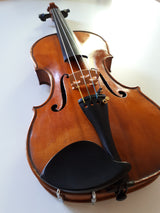Violin - Vitale Duodevicesimus 2016