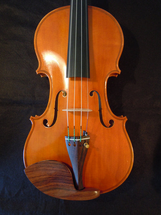 Violin violinbyggare
