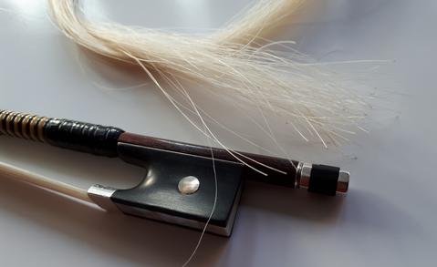 Tagling online – violinstråke