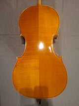 Cello - Philippe Dormond 1998